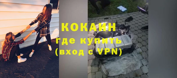индика Верея