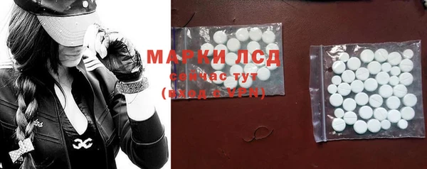 индика Верея
