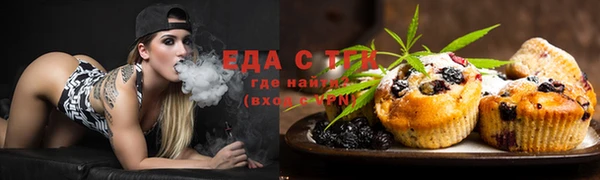 индика Верея