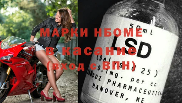 индика Верея