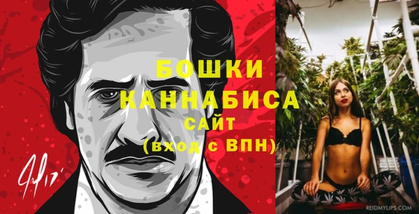 индика Верея