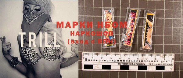 индика Верея
