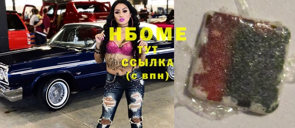 индика Верея