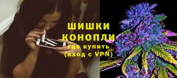 индика Верея