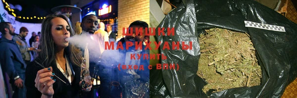 индика Верея